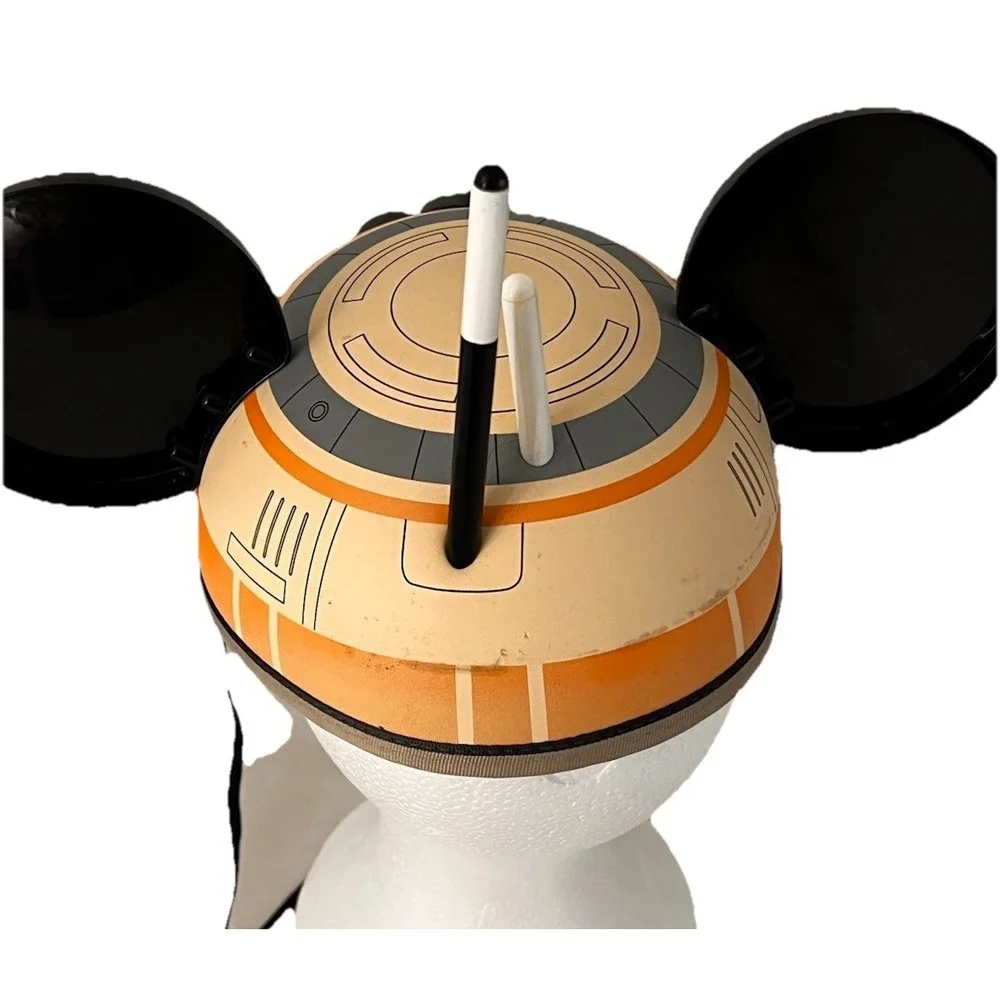 Disney parks star